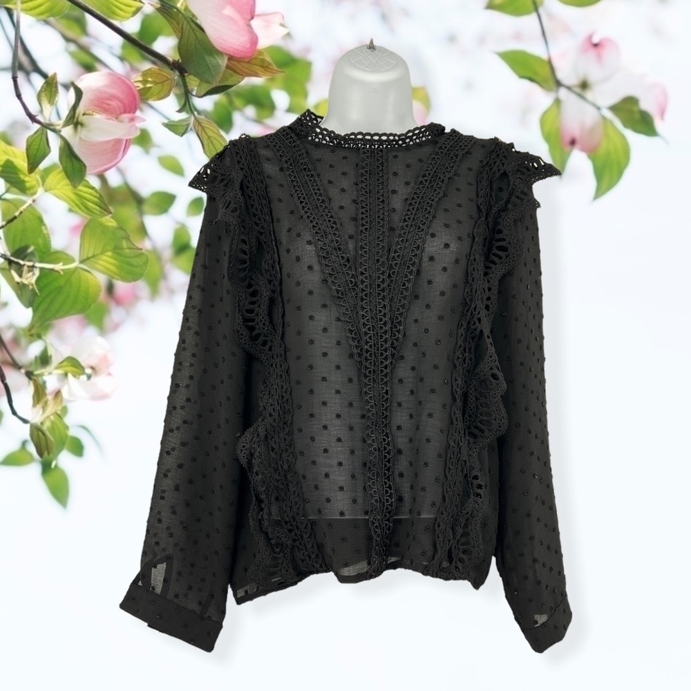 Sheer Blouse Long Sleeves - Picture 1 of 4
